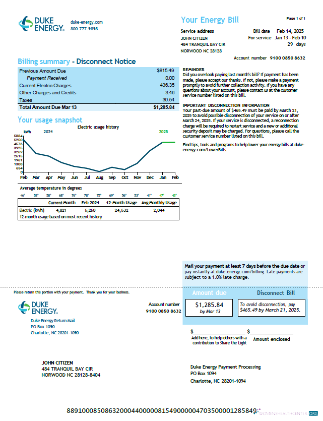 download download USA Duke Energy utility bill template in Word and PDF formats, version 2 PDF template PDF template
